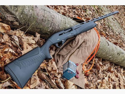 Benelli Raffaello Ethos Cordoba