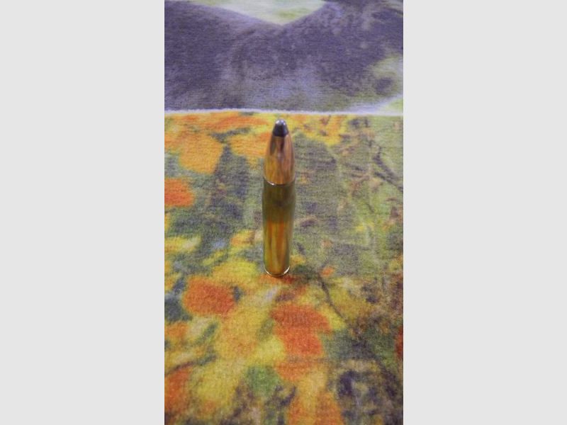 Sologne Nosler Partition 9,3x62 285 grains, Bild 3 von 3
