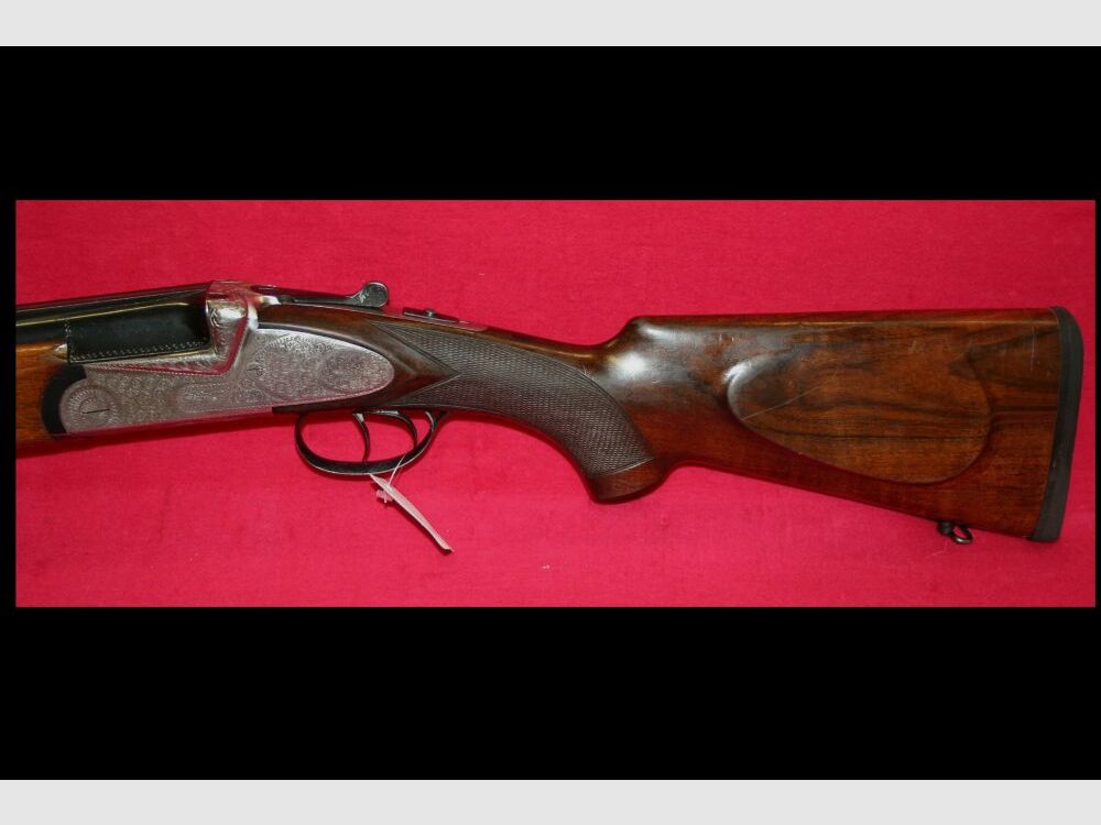 Turin mit Seitenschloss