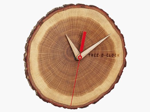 Wall clock Tree-o-clock