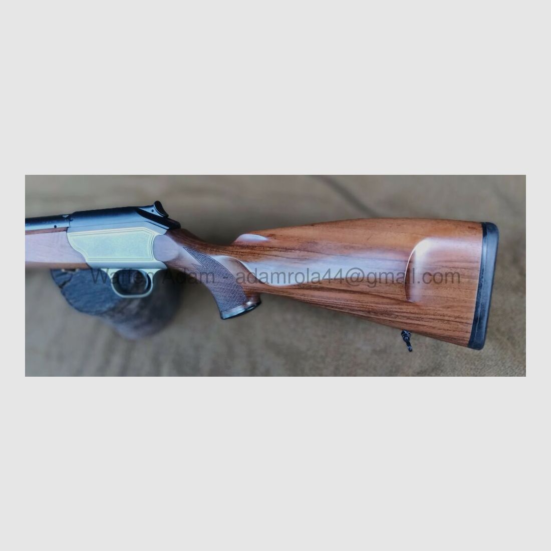 Blaser	 R 93