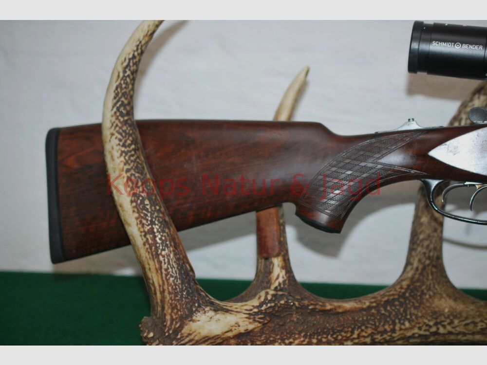 Blaser