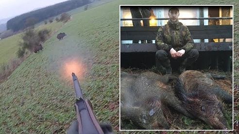 Driven Hunt In Belgium (gedreven jacht op wilde zwijnen), with Axel & Michiel V147