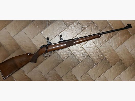 Corte de guerra - Stuttgart Krico