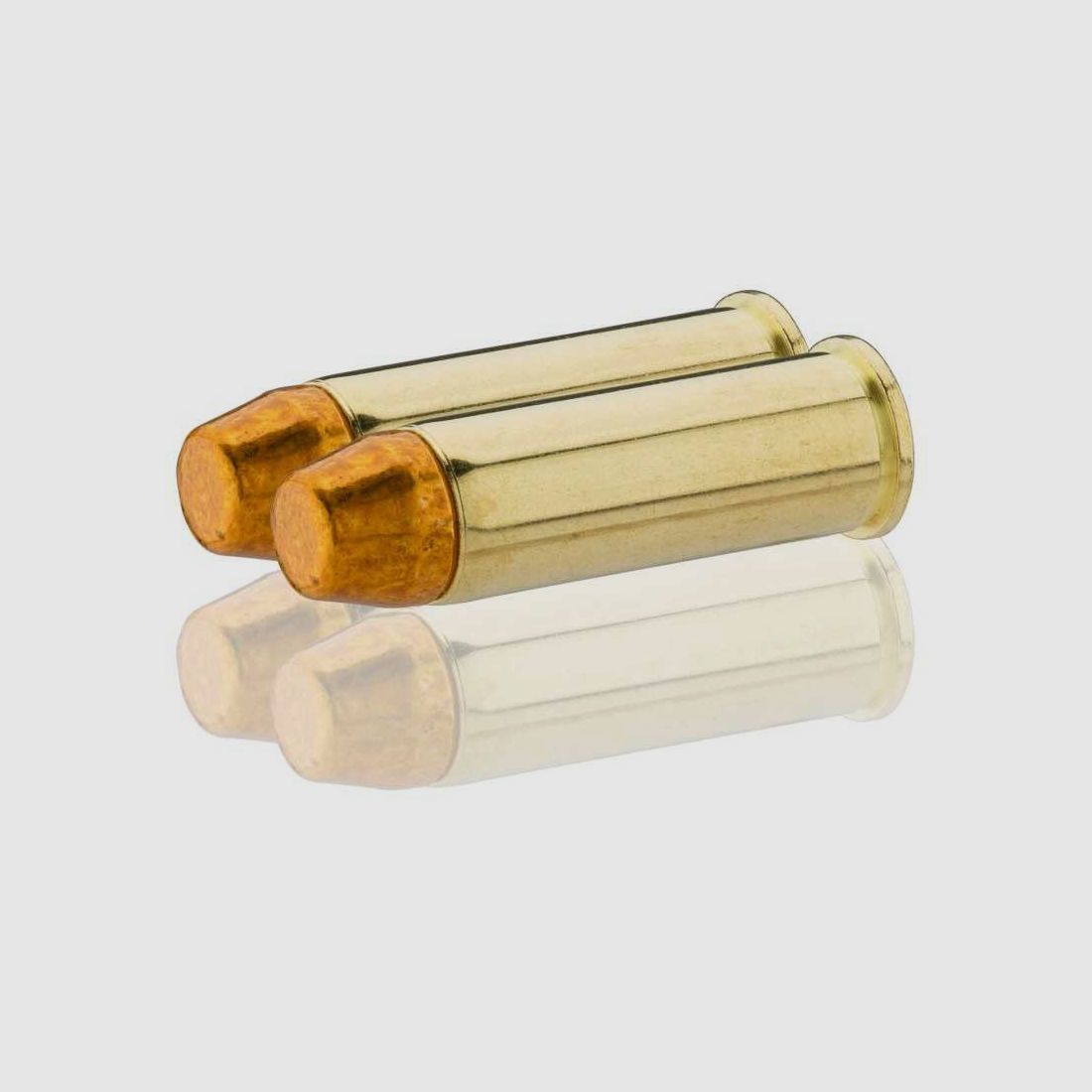 Sologne .45-70 Govt H&N TFN 300 gr / 19.4 g - Sologne .45-70 GVT FN 300 gr / 19.4 g, image 9 of 10