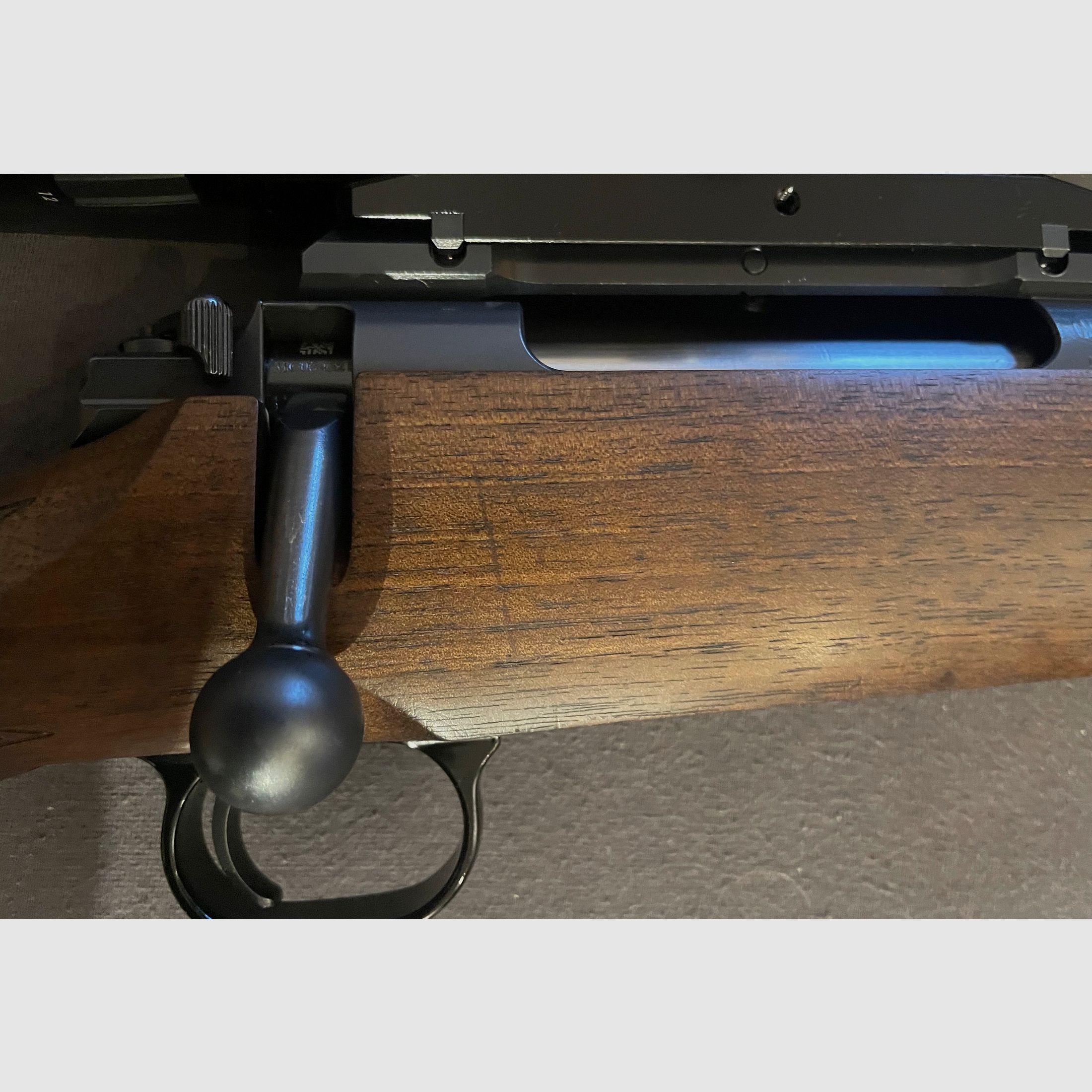 Mauser M12 + Steiner Ranger 4+ ammunition + case
