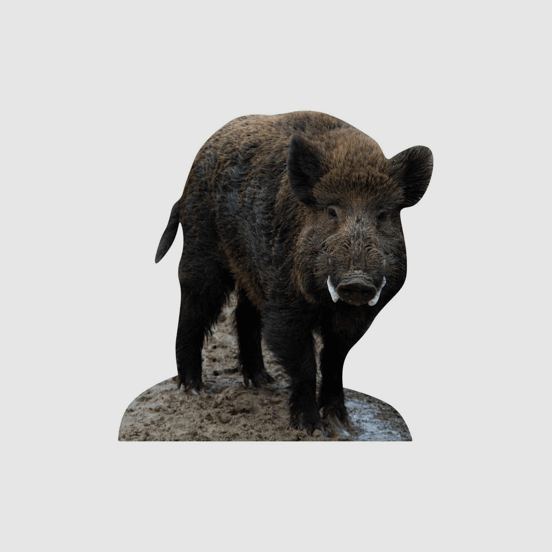 Tieraufsteller Wildschwein Keiler