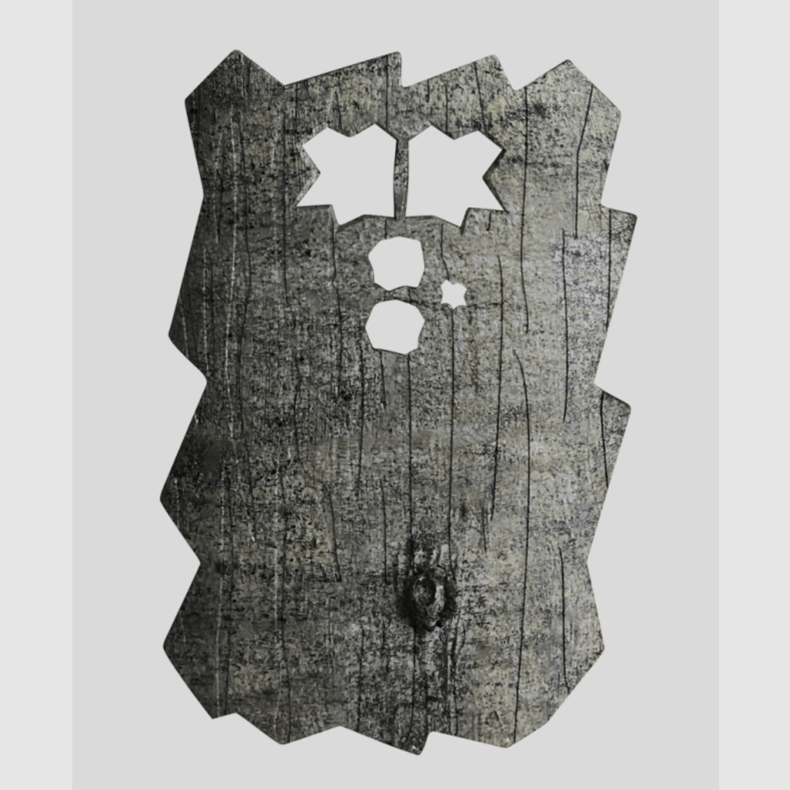 Minox Frontblende für DTC 460 (Buche)