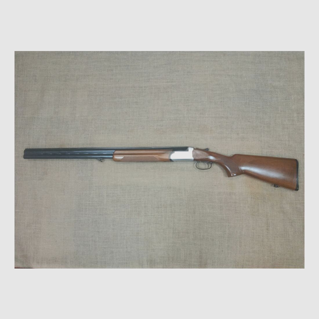 Rottweil Model 500