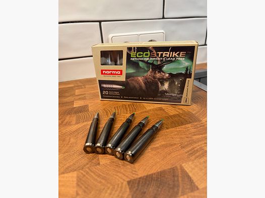 NORMA Ecostrike Silencer 8x57 IS