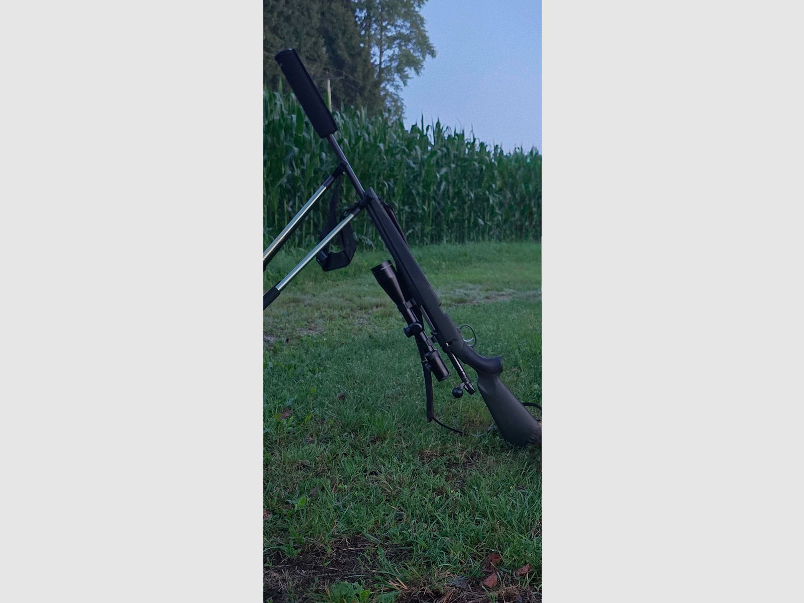 Mannlicher SM12 SX Goiserer