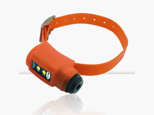 COLLAR BECADA COMPACT