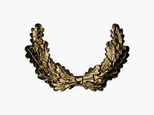 Unknown shoulder strap pad BW service uniform oak leaves