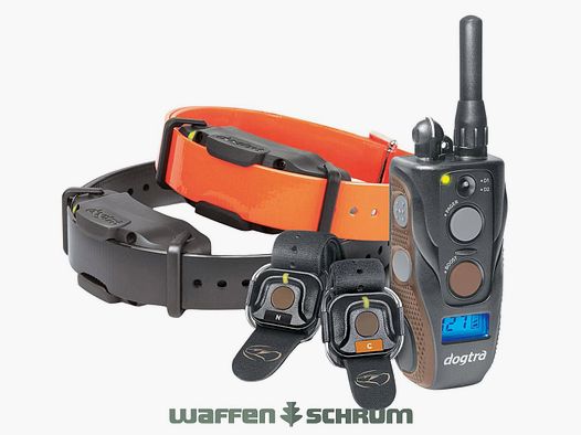 Dogtra ARC 1202S Free Plus   Trainingshalsband