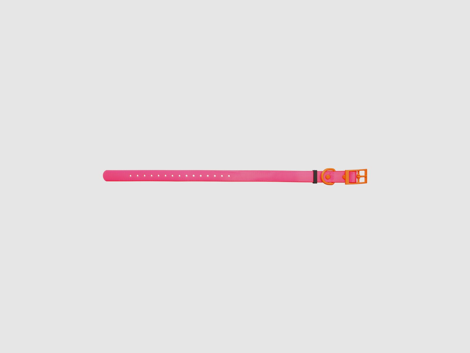 HP&G Hundehalsband 19mm Pink