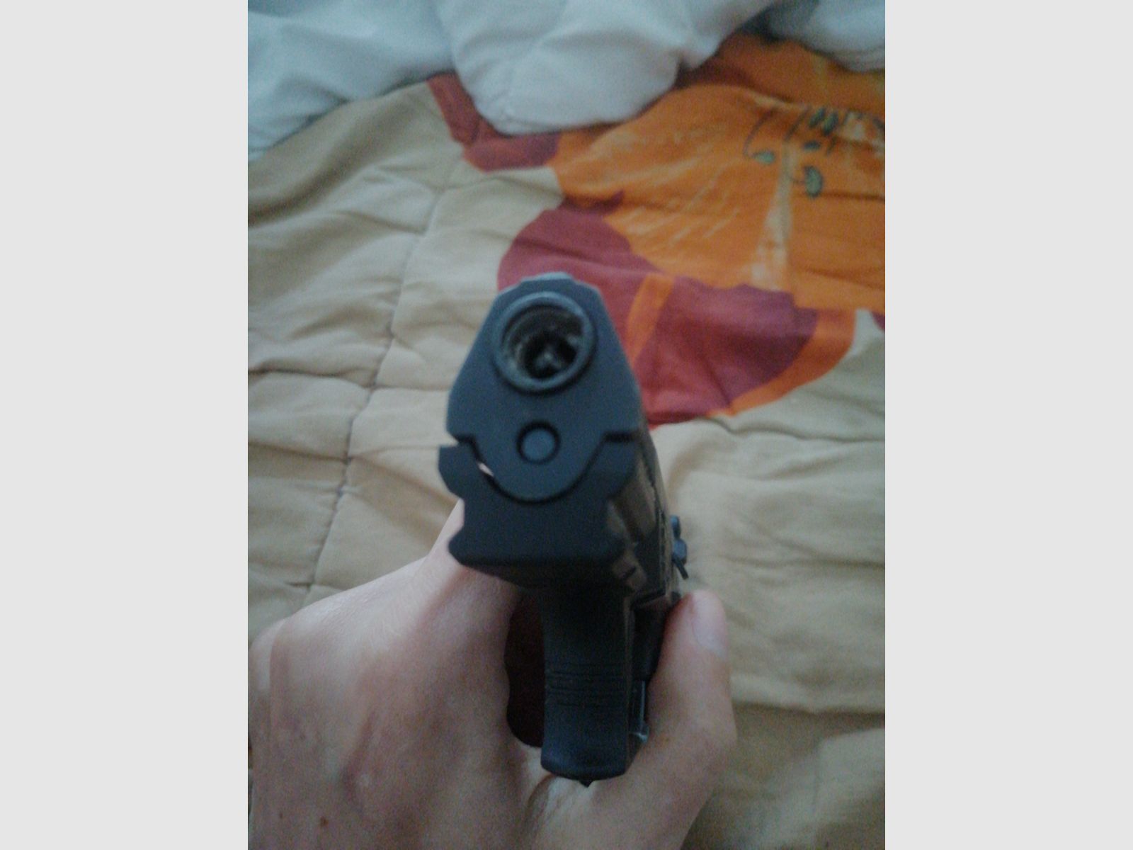 Walter p22