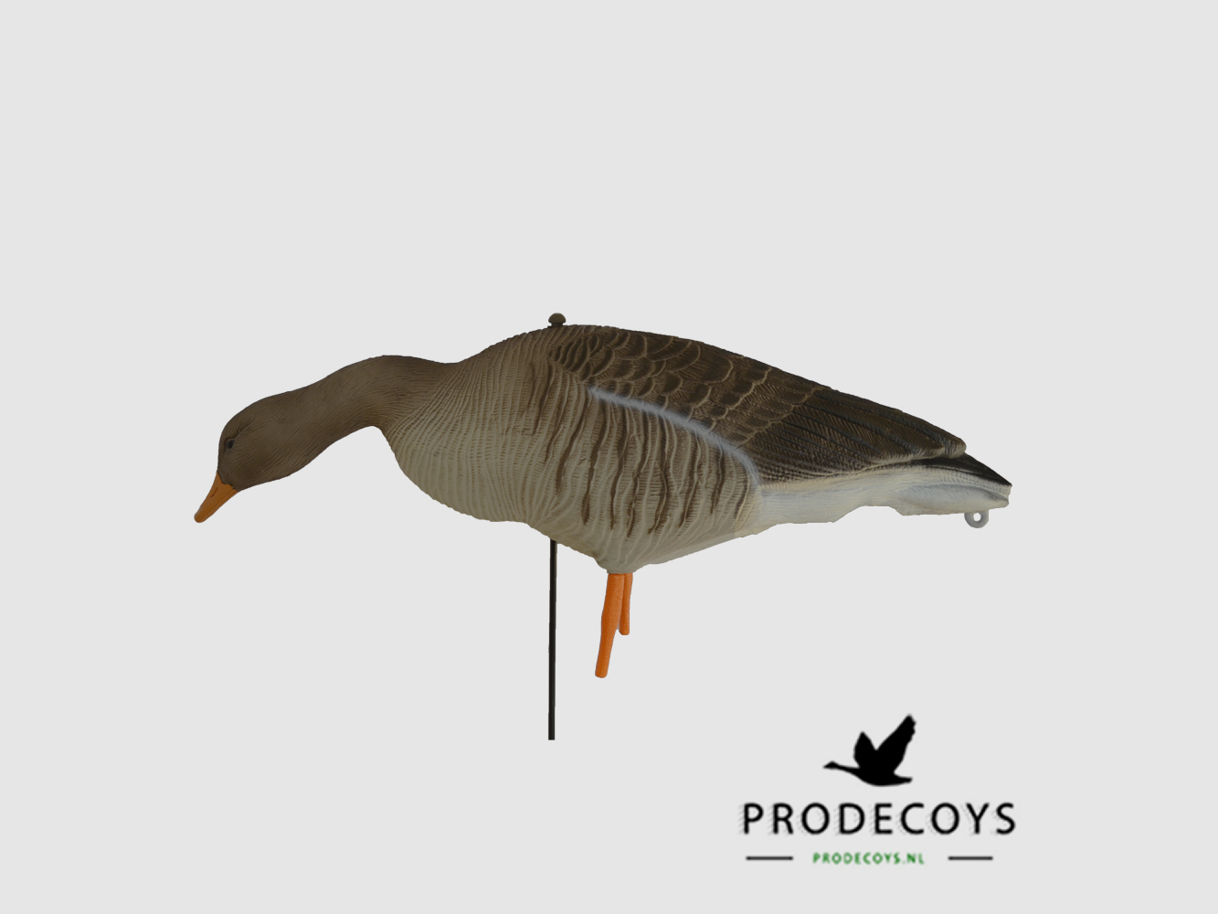 Prodecoys Graugans-Locker Full Body, Bild 3 von 3