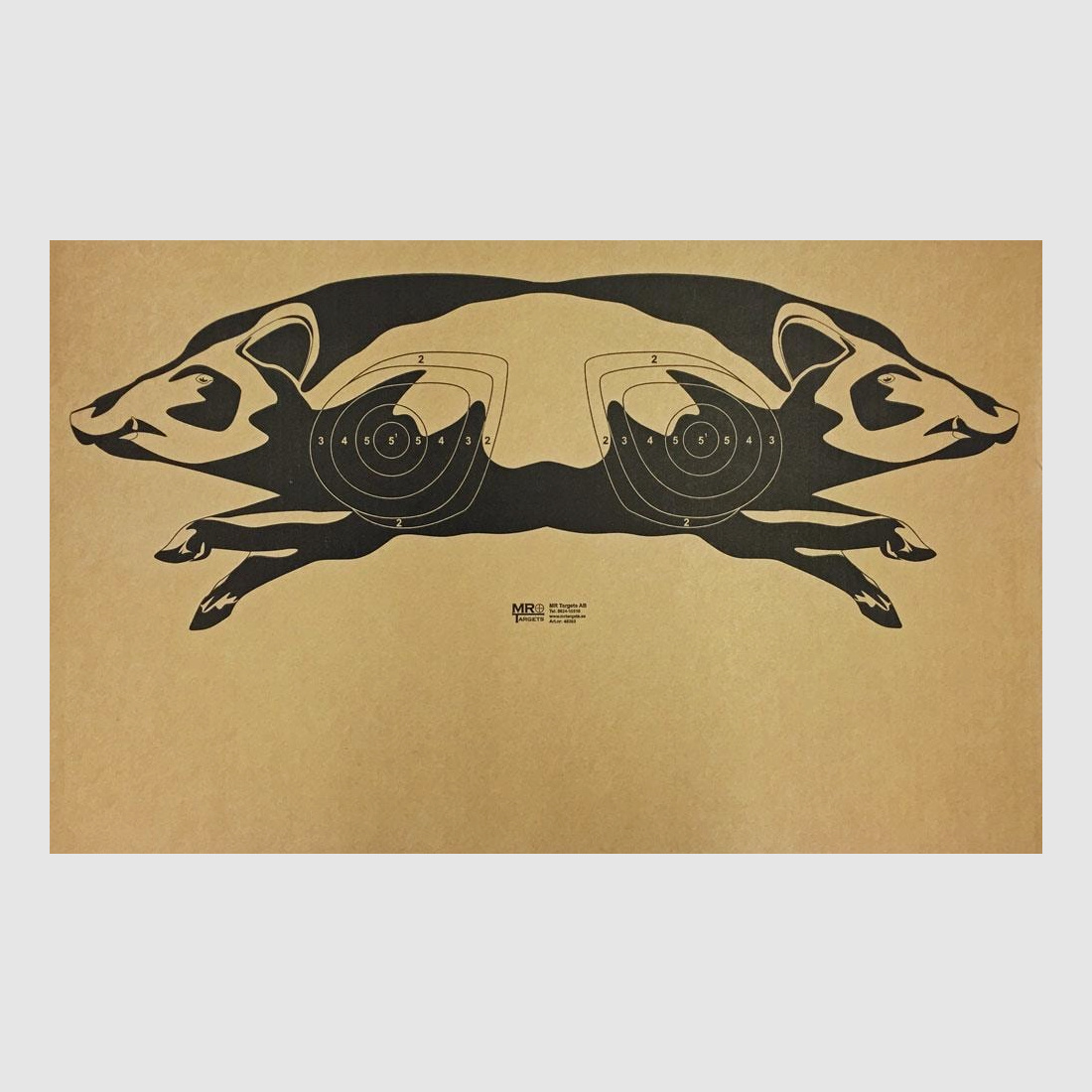 Bild Wildschwein für Moving Range 2022