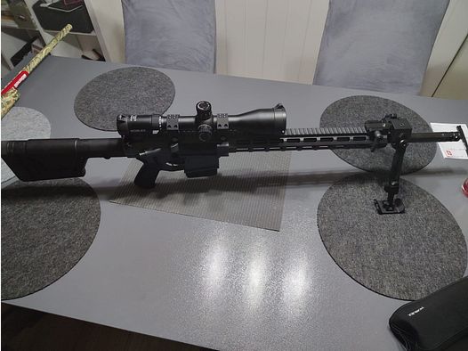 DAR 10 target rifle