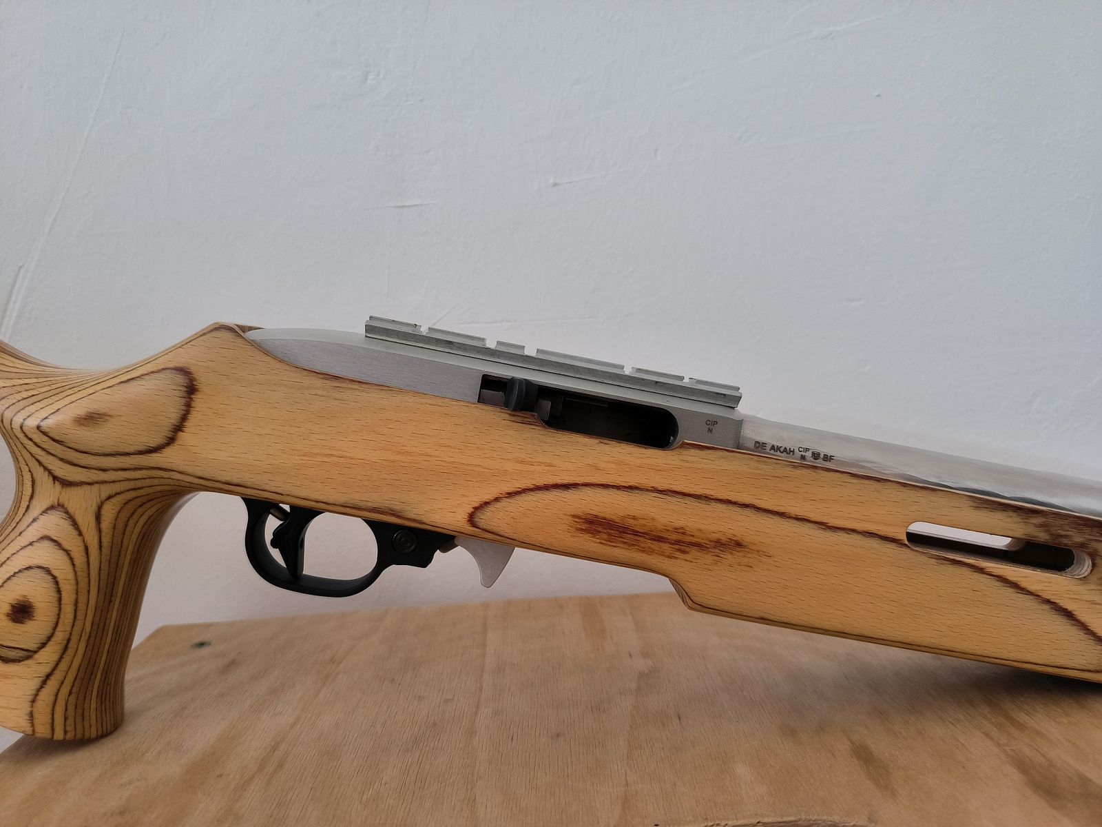 Ruger 10/22