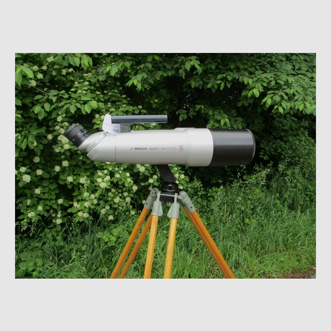 Miyauchi Mod. BJ100i