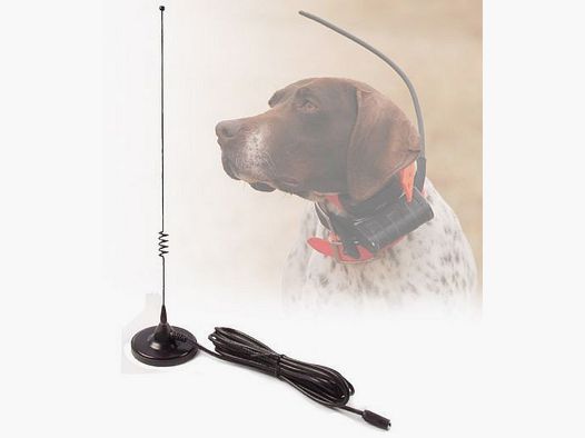 Antenne magnétique pour voiture