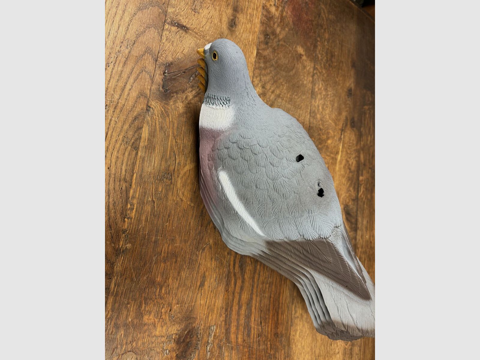 Sport Plast 5 palomas de trampa