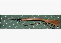 Paatz sans .22lr