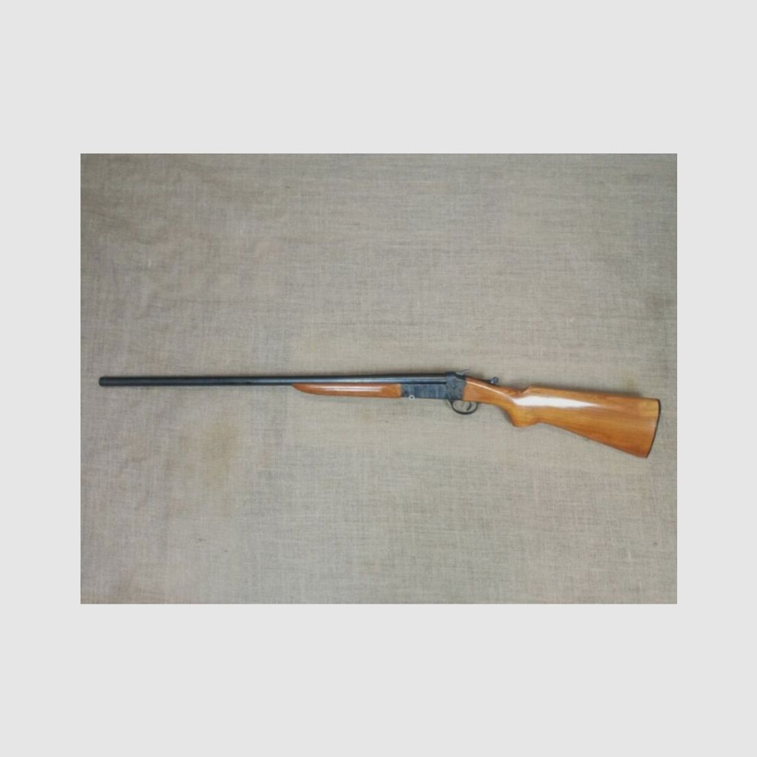 SAGA "Aigle royal" cartouche royale, cartouche d'oiseau