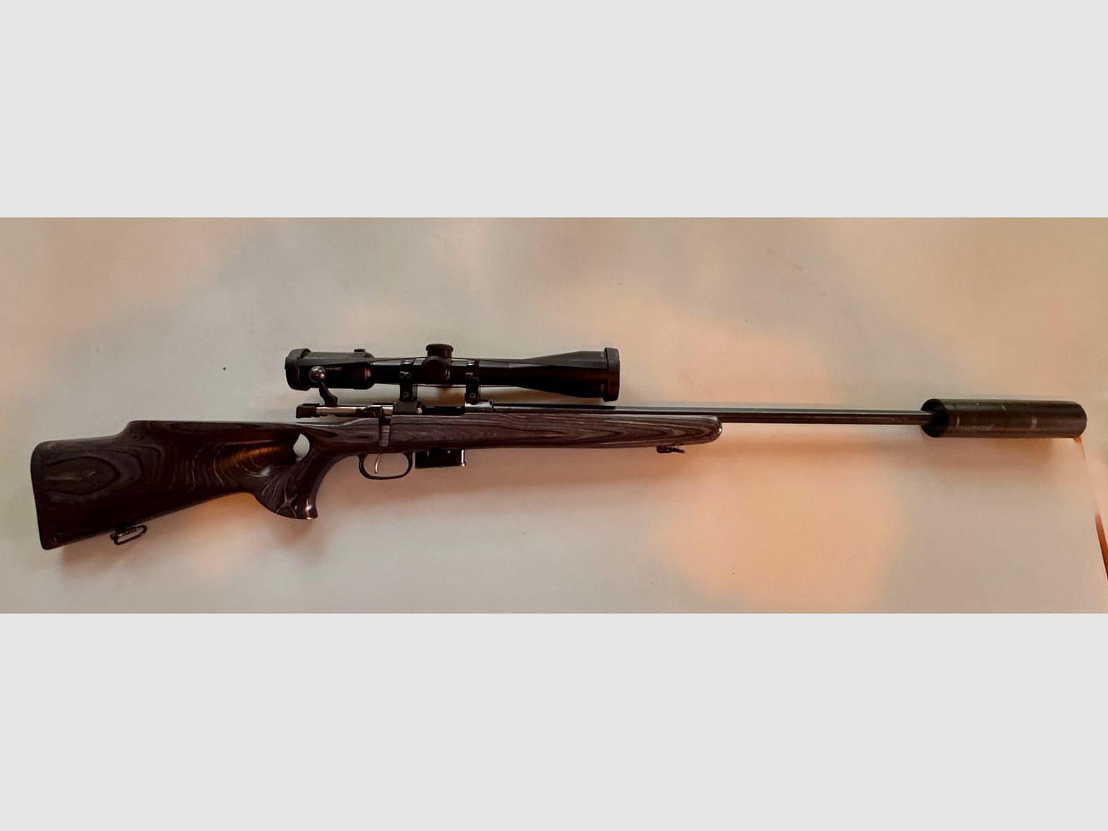 CZ 527 Thumbhole .17 HORNET mit Hausken SD & Delta Titanium HD – Raubwild-Profi