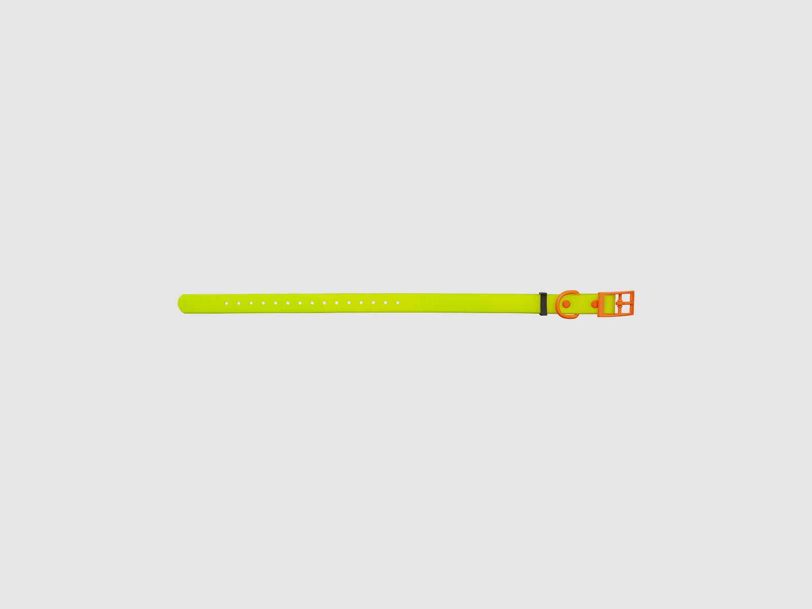 HP&G Dog Collar 19mm Yellow