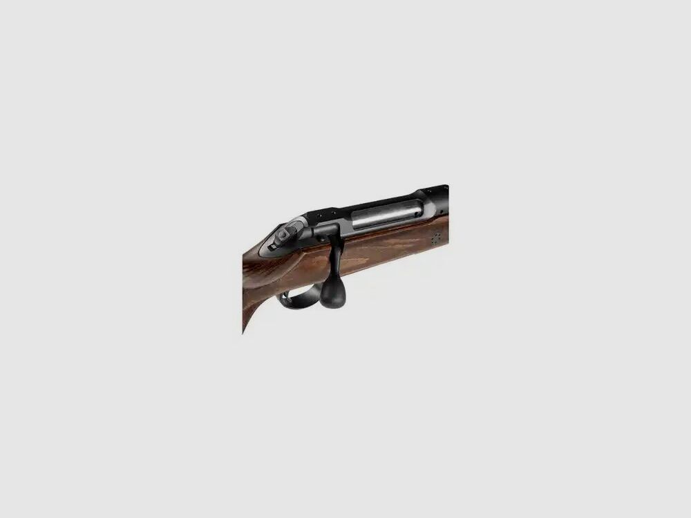J. P. Sauer & Sohn Sauer S101 Silence GTI with integral silencer LL= 42cm - .308 Win.
