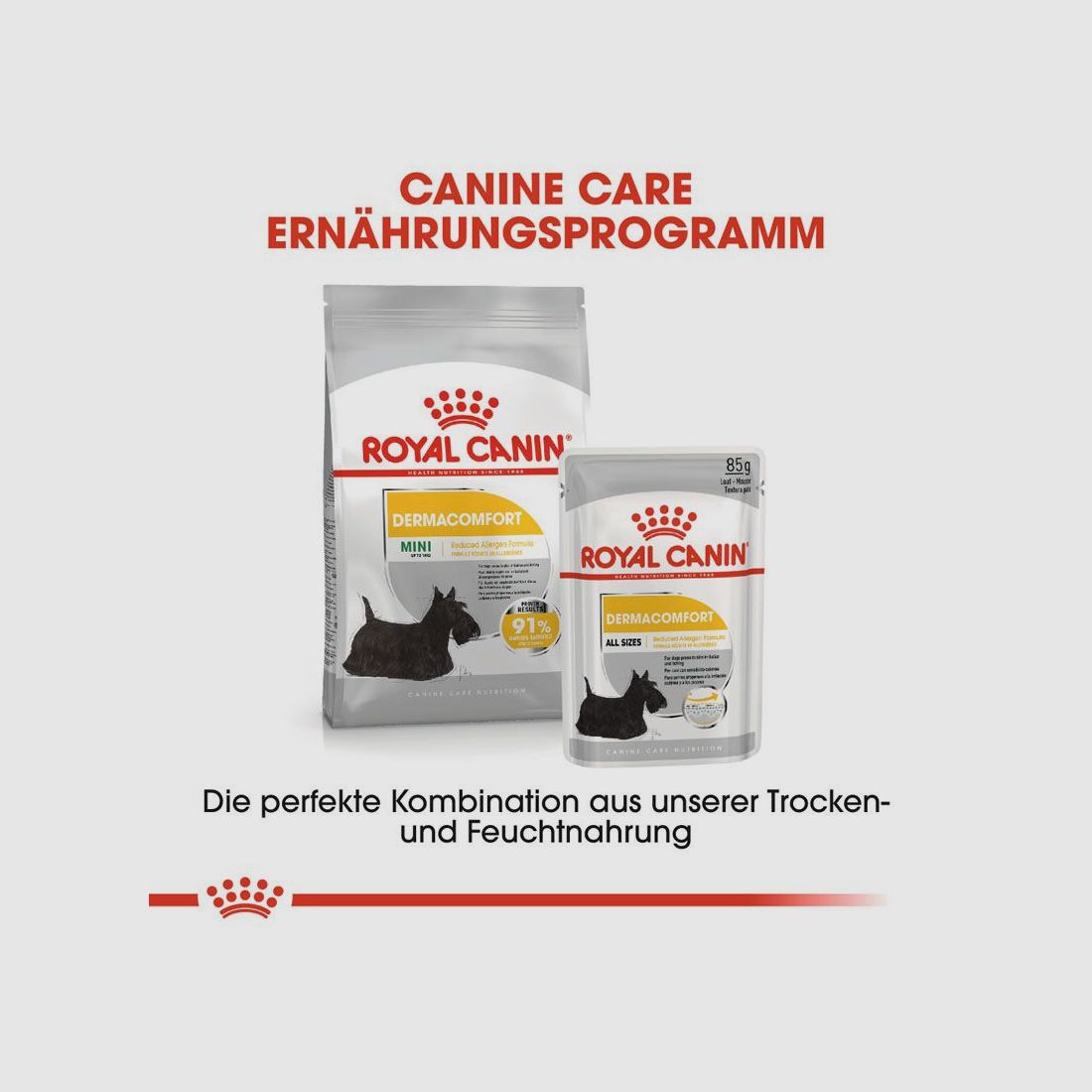 ROYAL CANIN Kleine Hunde Trockenfutter Dermacomfort Mini für empfindliche Haut