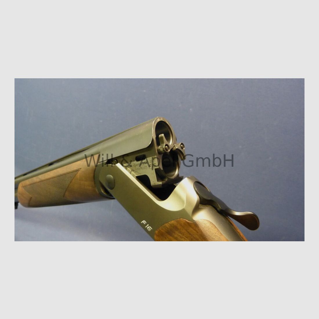 BLASER ISNY F16 GAME