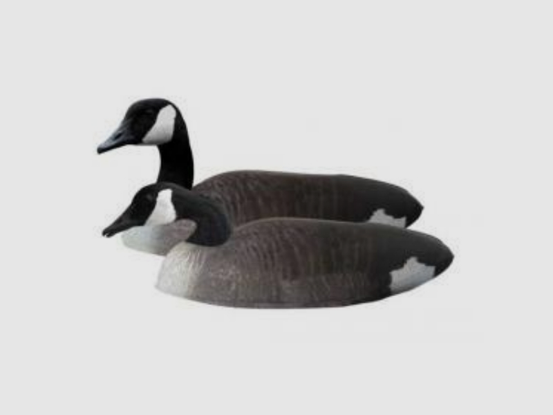 Featherlites Fusion Series Canada Goose (4 pièces) Oie, image 3 sur 3