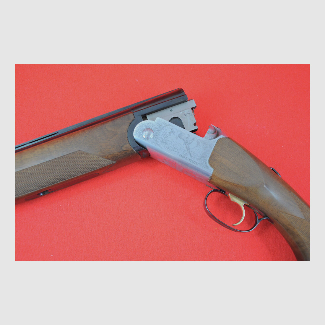 Rizzini Albion