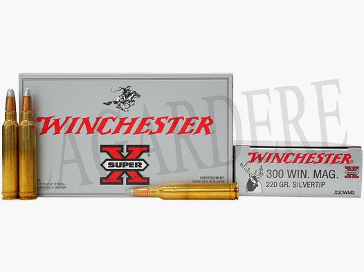 WINCHESTER SILVERTIP