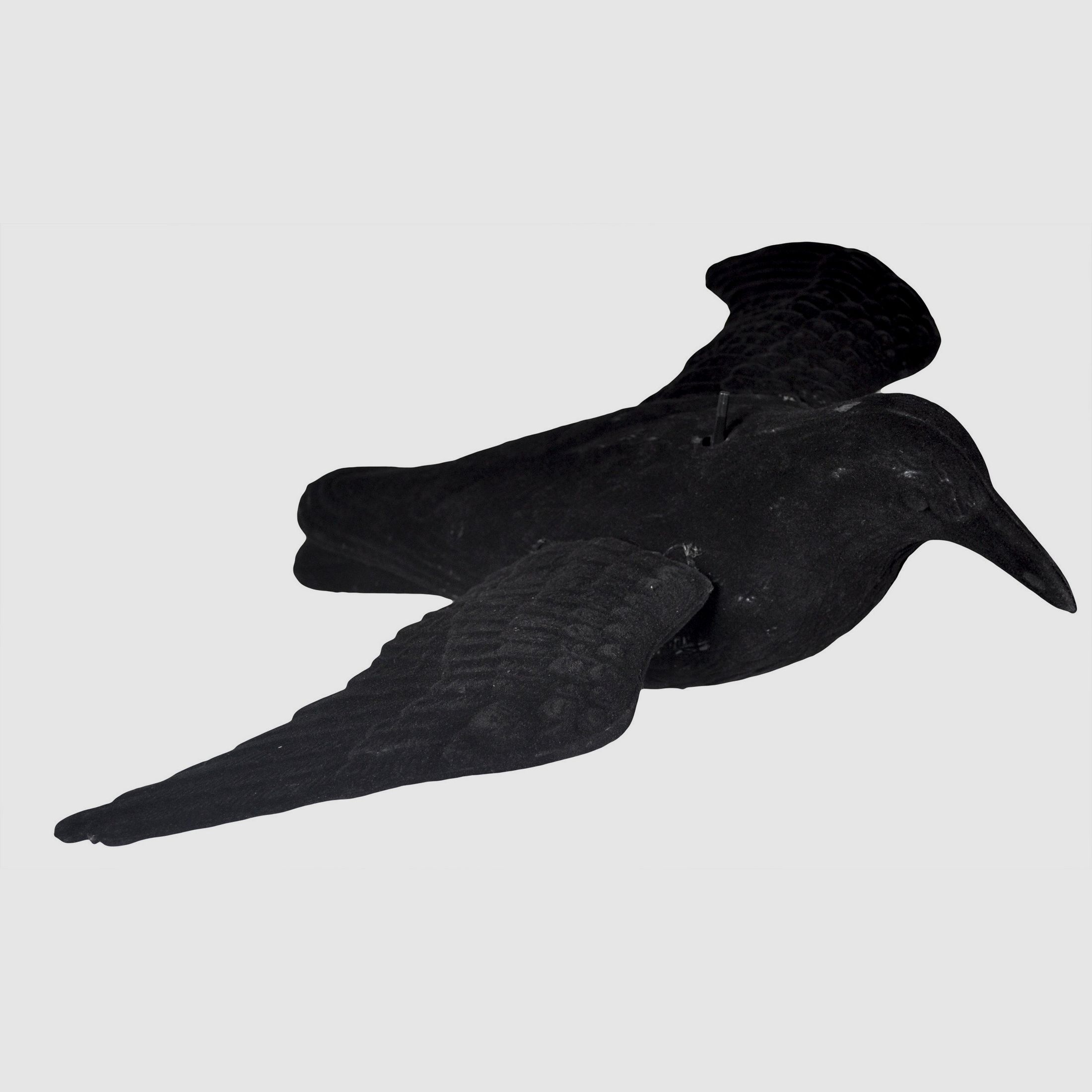 Flocked, flying decoy crow