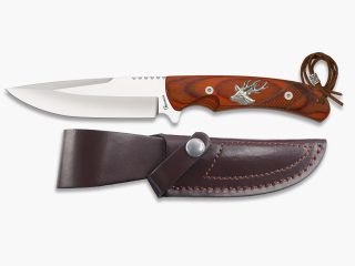 32817 – ALBAINOX Messer mit Hirschhorn-Griffschalen.