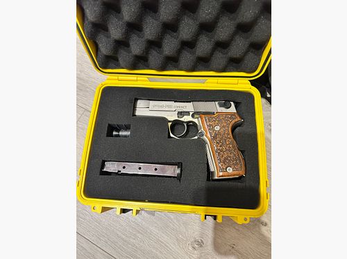 Walther P88 SsW