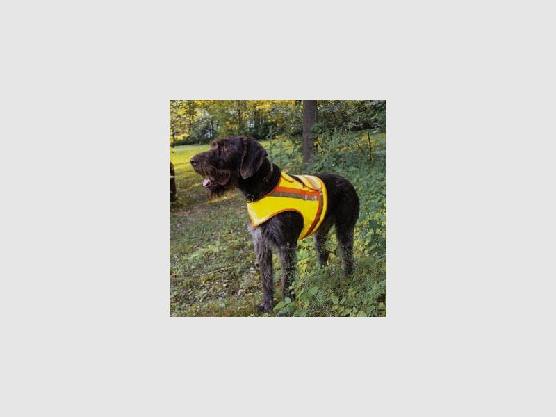 Reflective vest for dogs - various sizes