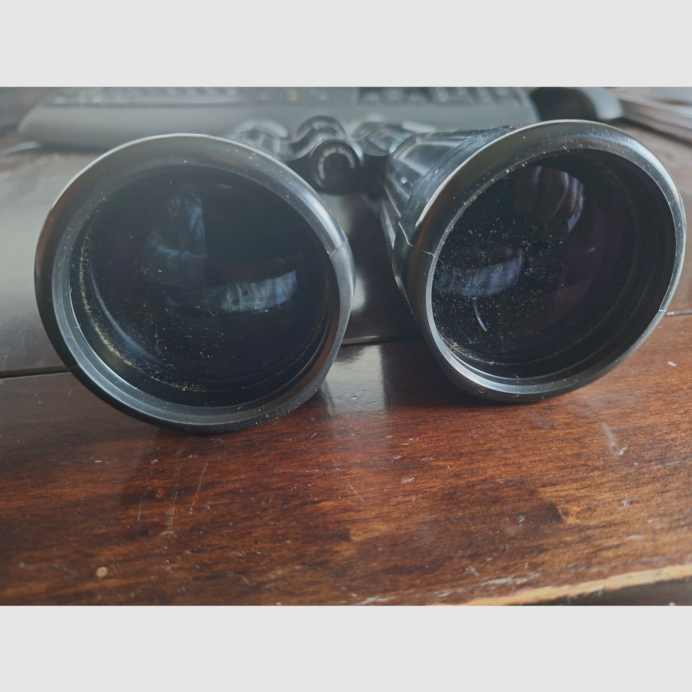 Zeiss Dialyt 8x56B T* – klassieker voor jacht en zitje