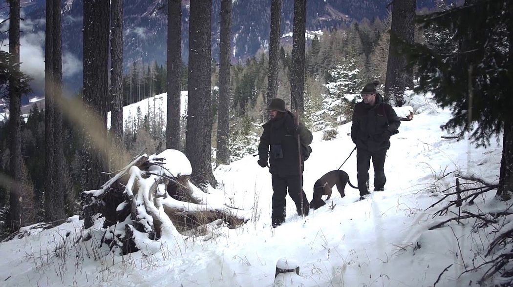 CARINTHIA HUNTING & WILDERNESS IMAGE VIDEO