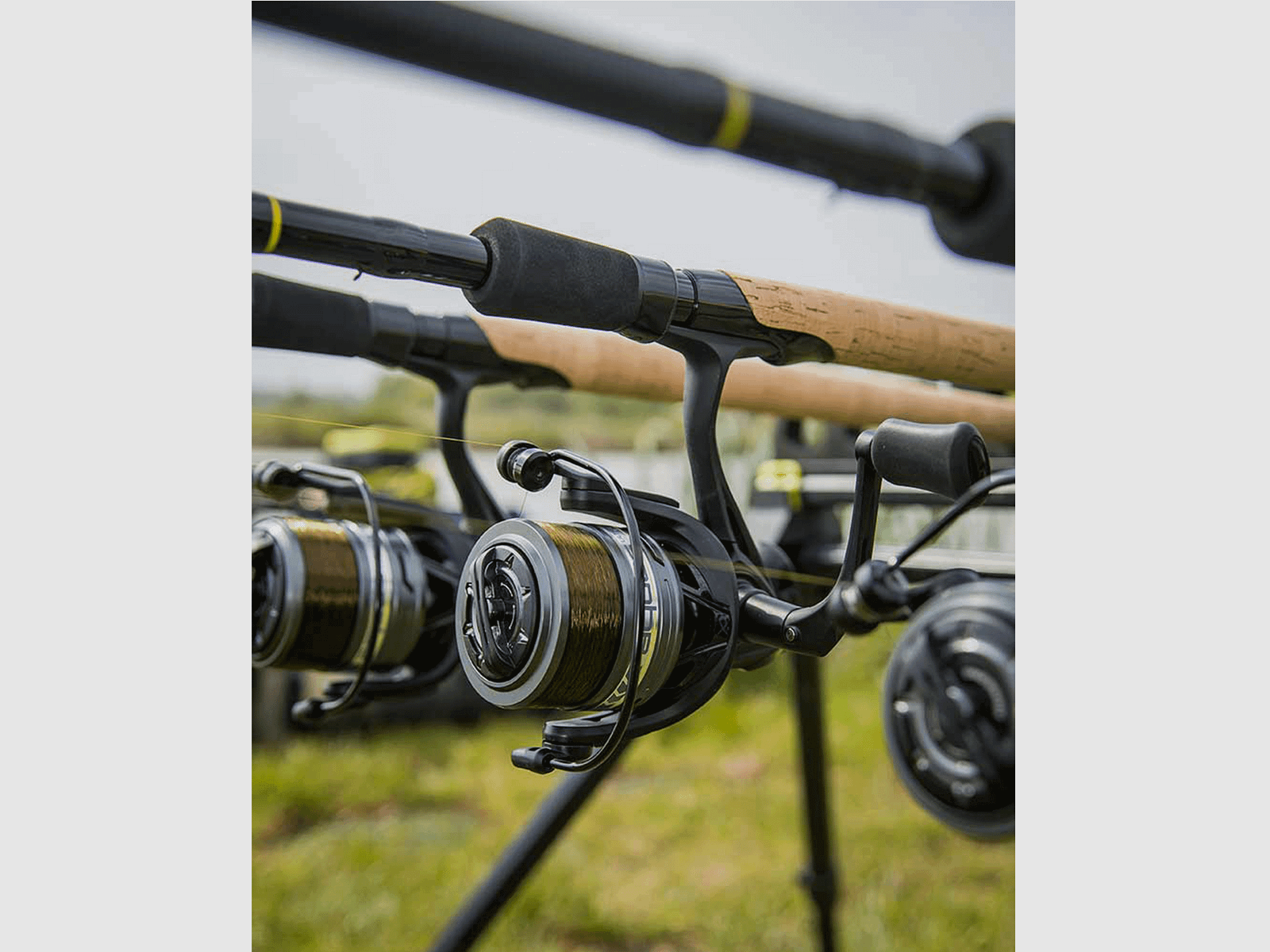 REEL – MATRIX – AQUOS ULTRA REEL, image 18 of 20