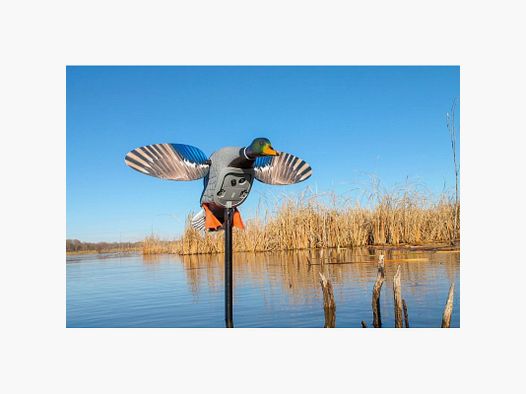 MOJO® Elite Series™ King Mallard germano maschio - Magnum