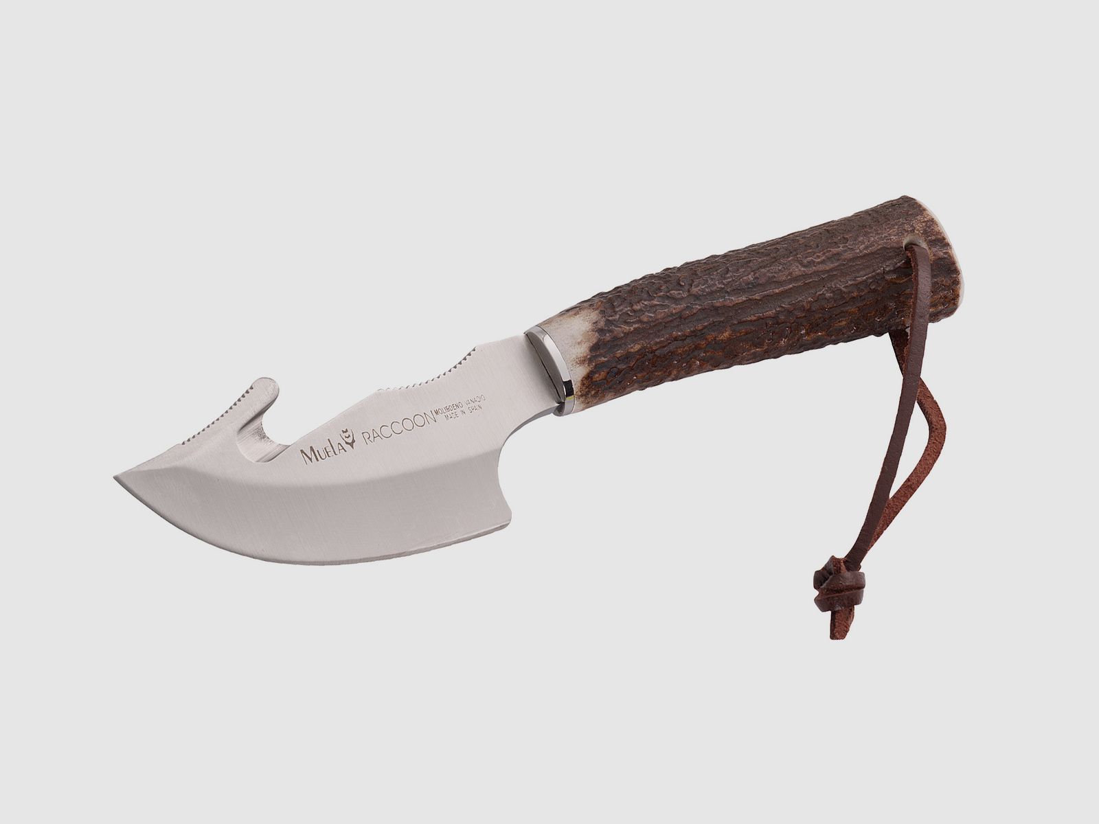 Muela Raccoon Messer