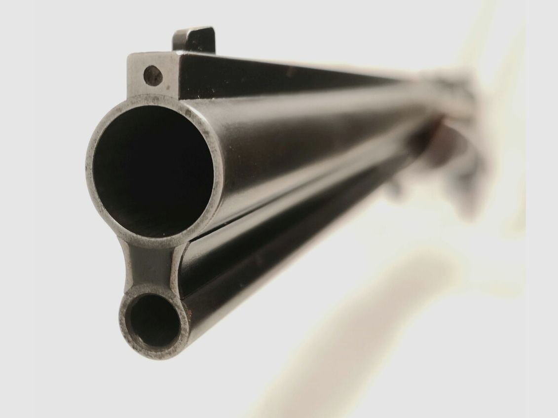 Blaser ES67