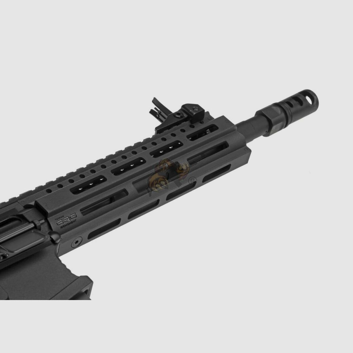 G&G CM16 Raider 2.0 Schwarz Airsoft S-AEG frei ab 18