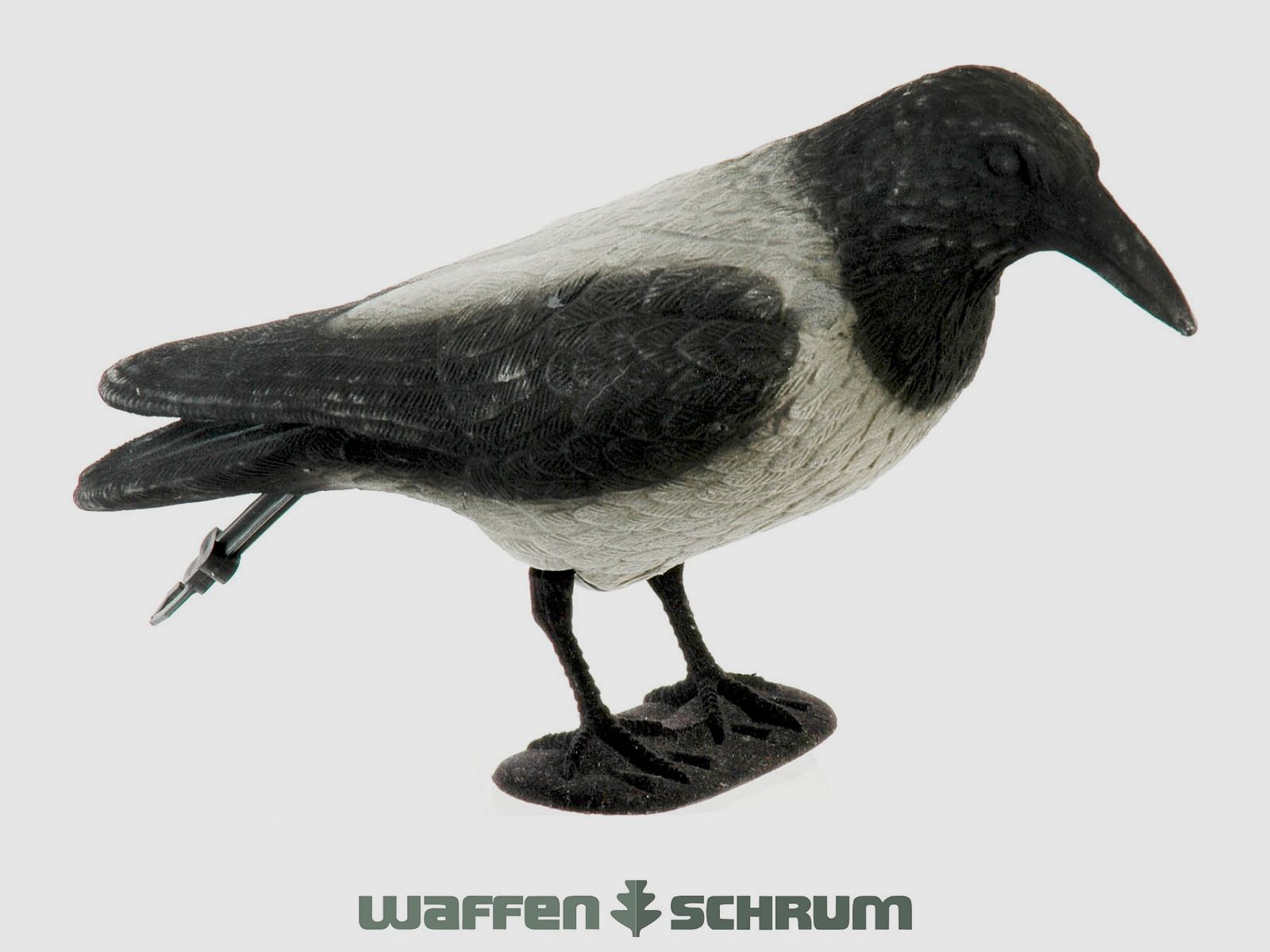 Vollkörper-Lockkrähe beflockt Nebelkrähe