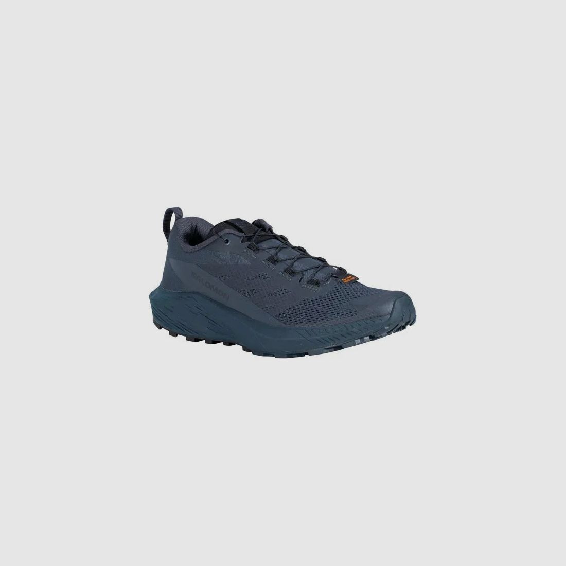 Trailrunningschuhe Sense Ride 5 SR